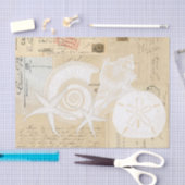 ビーチシーシェルズクリームフランスのポストカードティッシュペーパー 薄葉紙 (クラフト)