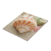 ビーチシーシェル写真 タイル (側面)