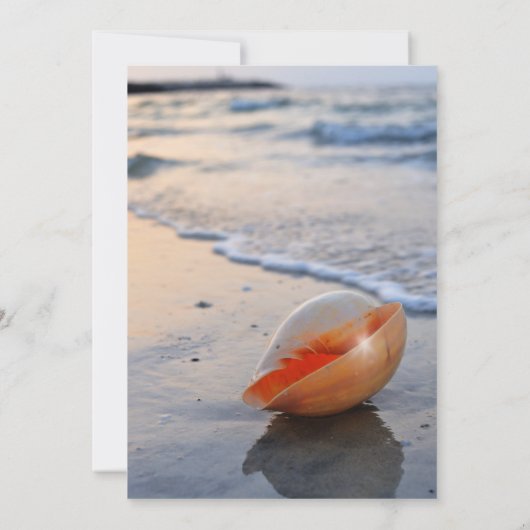 ビーチシーシーシーシェルワイングラス引退 招待状 (裏面)