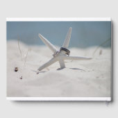 ビーチシーンとヒトデ ゲストブック (裏面)