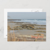 ビーチシーンノバスコシアリサーズサウスショア ポストカード (正面/裏面)