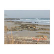 ビーチシーンノバスコシアリサーズサウスショア