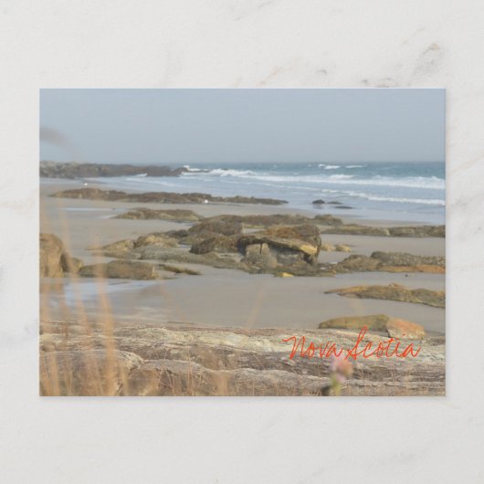 ビーチシーンノバスコシアリサーズサウスショア ポストカード (正面)