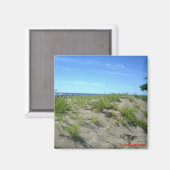 ビーチシーンフォトマグネット マグネット (正面/裏面)