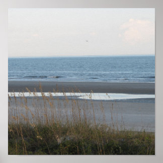 ビーチシーンポスター ポスター