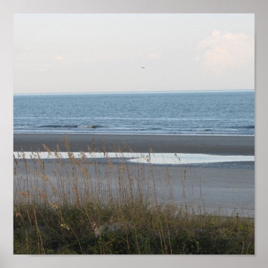 ビーチシーンポスター ポスター (正面)