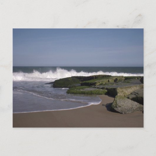 ビーチシーン2はがき ポストカード (正面)