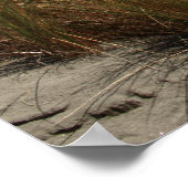 ビーチシーン ポスター (角)