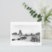 ビーチシーンatキャノンビーチ,オレゴン州写真 ポストカード (スタンド正面)