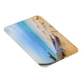 ビーチスケーカリブのプ マグネット (右側)