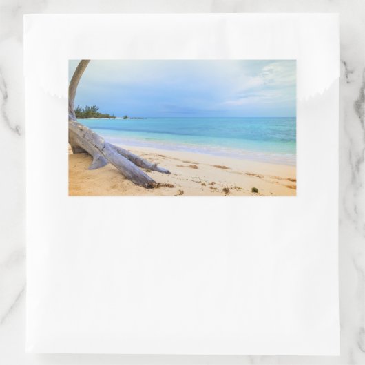 ビーチスケーカリブのプ 長方形シール (バッグ)