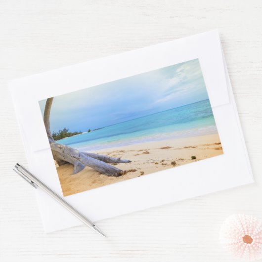 ビーチスケーカリブのプ 長方形シール (封筒)