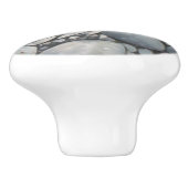 ビーチストーンシェル石絵画石芸術 セラミックノブ (側面)