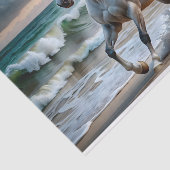 ビーチスピリットデクページティッシュペーパー 薄葉紙 (詳細)