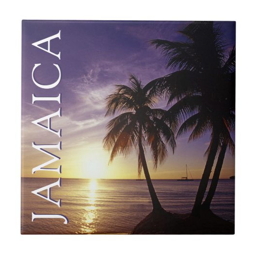 ビーチズアットネグリジャマイカ タイル (正面)