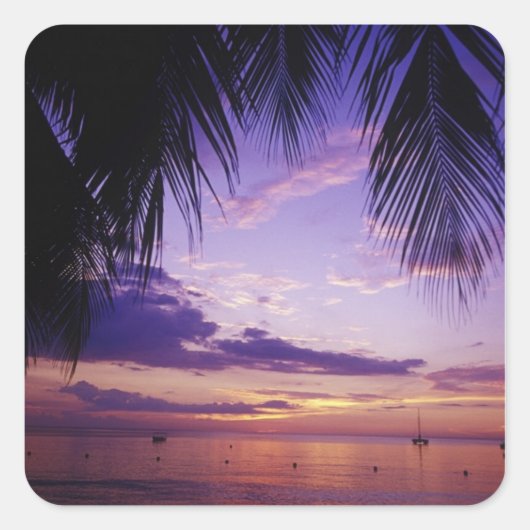 ビーチズアットネグリル，ジャマイカ2 スクエアシール (正面)