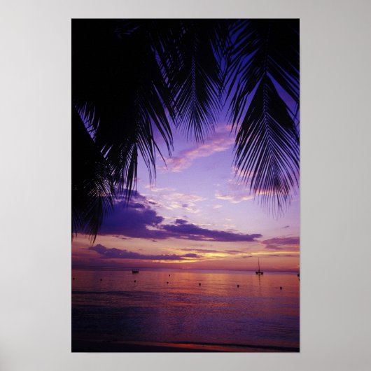 ビーチズアットネグリル,ジャマイカ2 ポスター (正面)