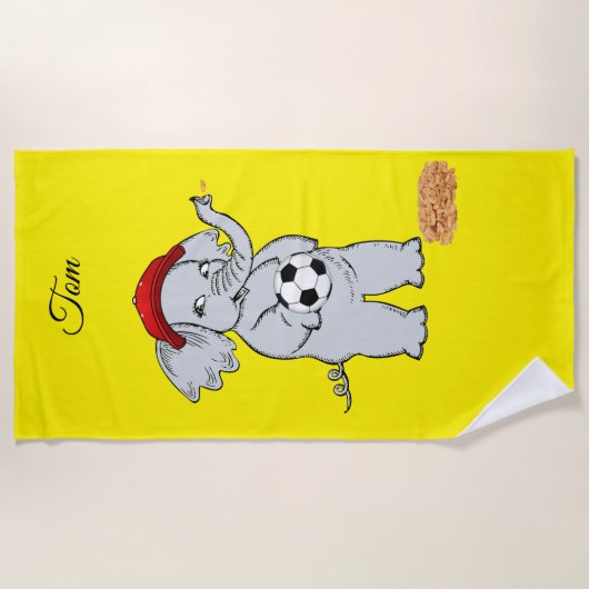 ビーチタオル (正面)