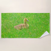 ビーチタオル (正面)