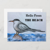 ビーチタンシーガルハローハガキ ポストカード (正面/裏面)