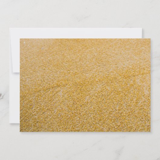 ビーチチェアー Mr. n Mrs. 受付のみのご案内 招待状 (裏面)