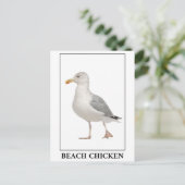 ビーチチキン – カモメ ポストカード (スタンド正面)