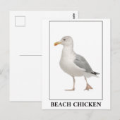 ビーチチキン – カモメ ポストカード (正面/裏面)