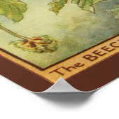 ビーチツリーフェアリーバイビジョンスタジオ ポスター (角)