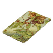 ビーチツリーフェアリーバイビジョンスタジオ マグネット (左側)