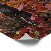 ビーチツリーフォレスト ポスター (角)