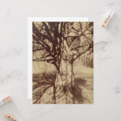 ビーチツリー（バイユージェーンアット） カード (正面/裏面インサイチュ)