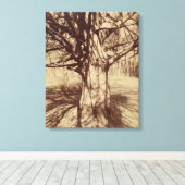 ビーチツリー（バイユージェーンアット） キャンバスプリント (インサイチュ (ウッドフロア))