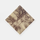 ビーチツリー（バイユージェーンアット） スタンダードランチョンナプキン (角)