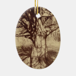 ビーチツリー（バイユージェーンアット） セラミックオーナメント