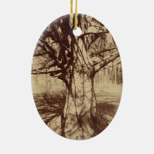 ビーチツリー(バイユージェーンアット) セラミックオーナメント (裏面)