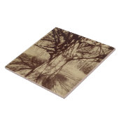 ビーチツリー（バイユージェーンアット） タイル (側面)