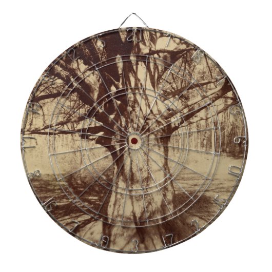 ビーチツリー(バイユージェーンアット) ダーツボード (正面)