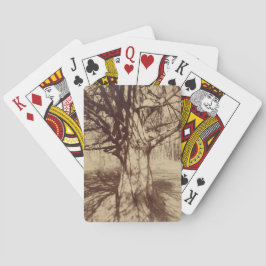 ビーチツリー（バイユージェーンアット） トランプ