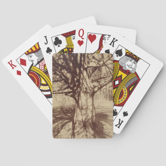 ビーチツリー(バイユージェーンアット) トランプ (裏面)