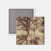 ビーチツリー（バイユージェーンアット） マグネット (正面/裏面)