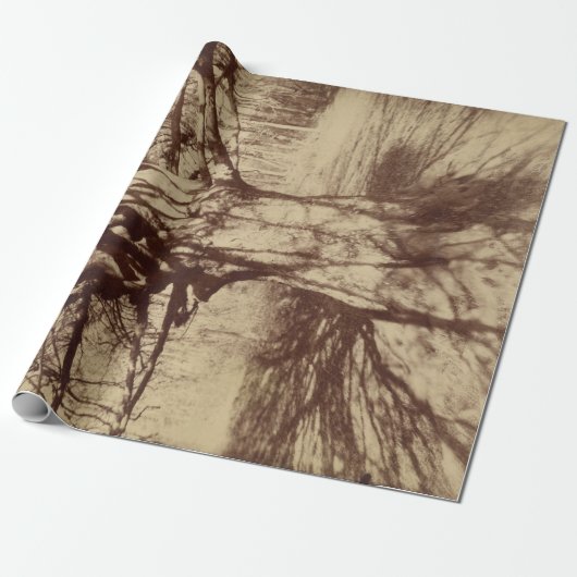 ビーチツリー（バイユージェーンアット） ラッピングペーパー (アンロールド)