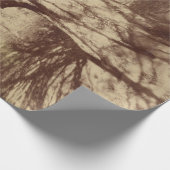 ビーチツリー（バイユージェーンアット） ラッピングペーパー (角)