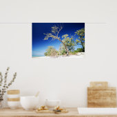 ビーチツリー ポスター (キッチン)