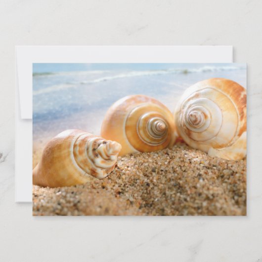 ビーチテーマの結婚式後レセプションのみの招待状 招待状 (裏面)