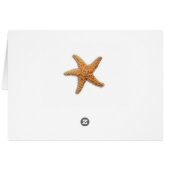 ビーチテーマスタッ結婚フィズ素朴ス (裏面横)