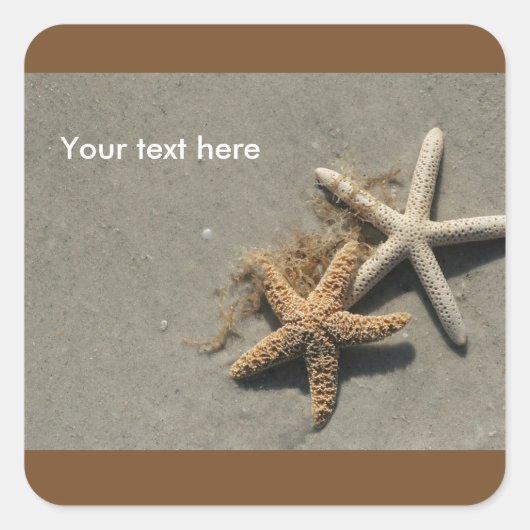 ビーチテーマステッカーラベル スクエアシール (正面)