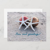 ビーチテーマポストカード付きヒトデとオーナメント ポストカード (正面/裏面)