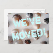 ビーチテーマ移動葉書と貝殻 案内ポストカード (正面/裏面)