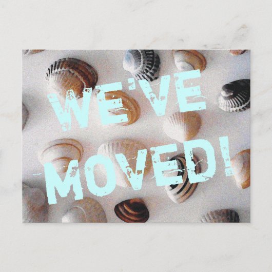 ビーチテーマ移動葉書と貝殻 案内ポストカード (正面)