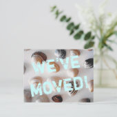 ビーチテーマ移動葉書と貝殻 案内ポストカード (スタンド正面)